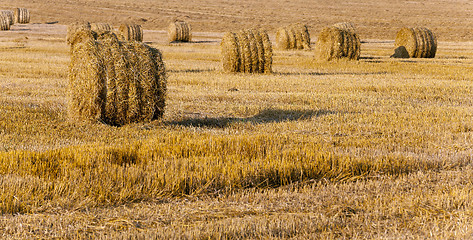 Image showing straw stack  