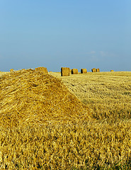 Image showing straw stack  