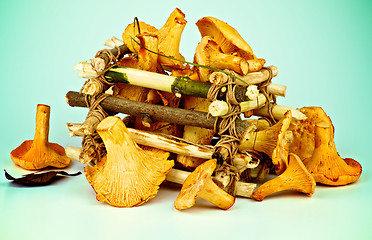 Image showing Raw Chanterelles