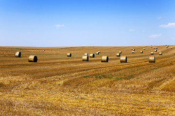 Image showing straw stack  