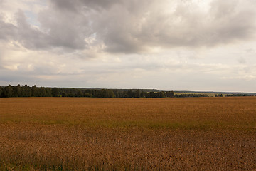 Image showing cloudy weather 