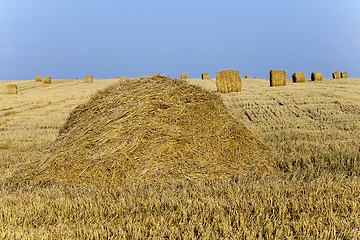 Image showing straw stack  