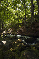 Image showing mountain river  