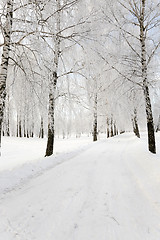 Image showing the winter road  