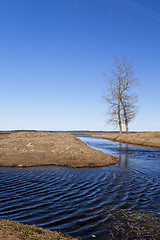 Image showing small river in the field  
