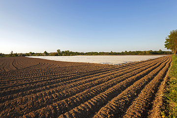 Image showing greenhouses in the field  