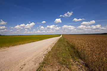 Image showing Rural Dirt road  