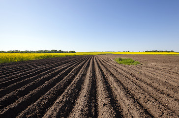 Image showing plowed field  
