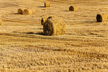 Image showing straw stack 