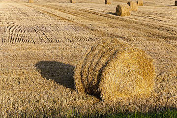 Image showing straw stack  