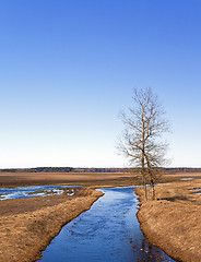 Image showing small river in the field  