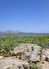 Image showing the lake  