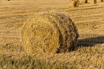 Image showing straw stack  