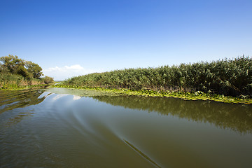 Image showing the lake  