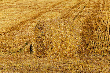 Image showing straw stack  