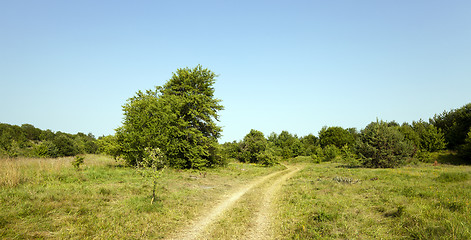 Image showing vanishing rural road  