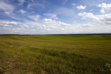 Image showing agriculture field  