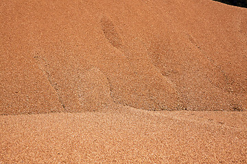 Image showing wheat grains  