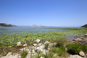 Image showing the lake 