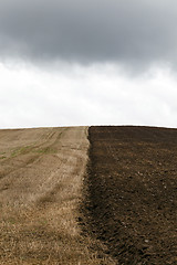 Image showing plowed earth  