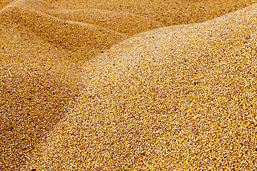 Image showing corn  heap 