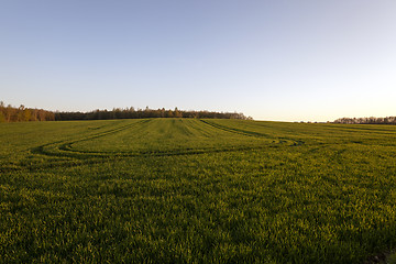 Image showing agriculture  
