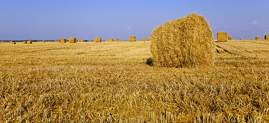 Image showing straw stack  