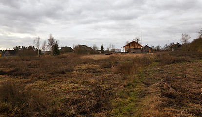 Image showing dried grass  