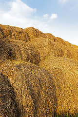 Image showing straw stack  