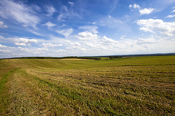 Image showing agriculture field  