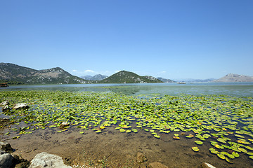Image showing the lake  