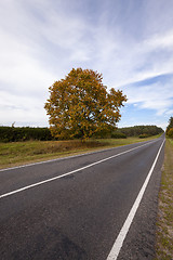 Image showing the autumn road  