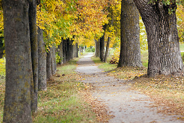 Image showing footpath in the city park  