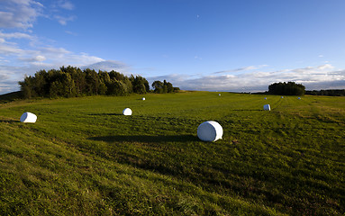 Image showing packed grass  