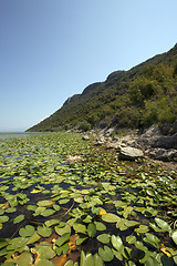 Image showing the lake 