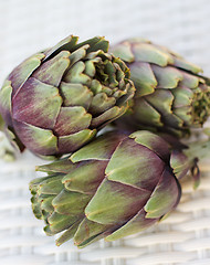 Image showing Artichokes