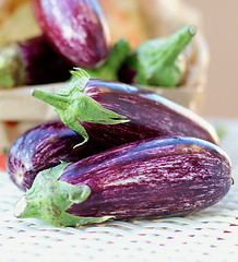 Image showing Striped Eggplants