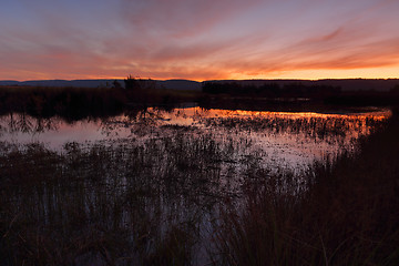 Image showing Sunset Penrith Wetlands