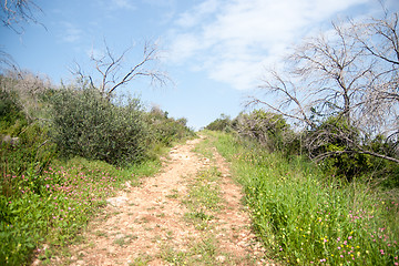 Image showing Spring season landscape