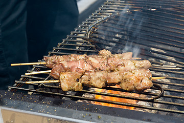 Image showing Juicy roasted kebabs on the grill