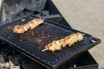 Image showing Juicy roasted kebabs on the grill