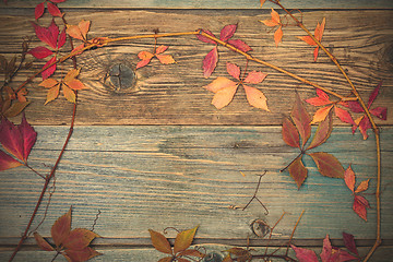 Image showing herbarium. autumn still life with dry red leaves