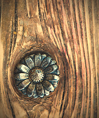Image showing vintage flower button