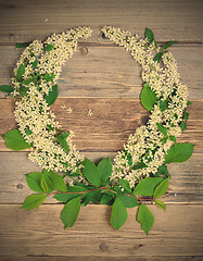 Image showing wreath of bird-cherry blossom branches