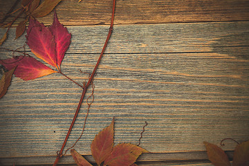 Image showing Autumn still life with dry red leaves and branches