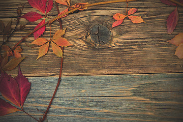 Image showing Autumn still life with dry red leaves