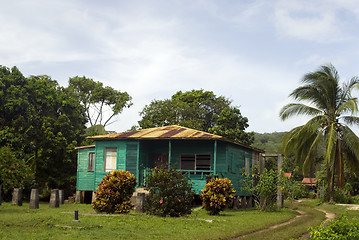 Image showing native house