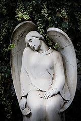 Image showing Old Cemetery statue