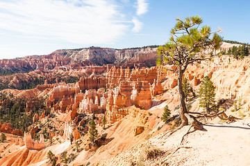 Image showing Bryce Canyon