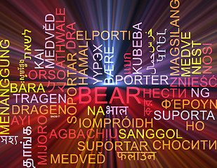Image showing Bear multilanguage wordcloud background concept glowing